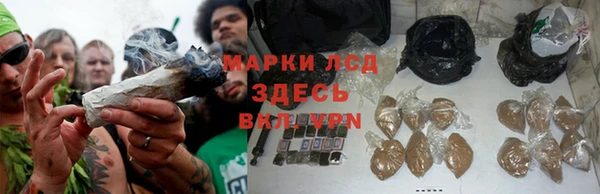 apvp Балахна