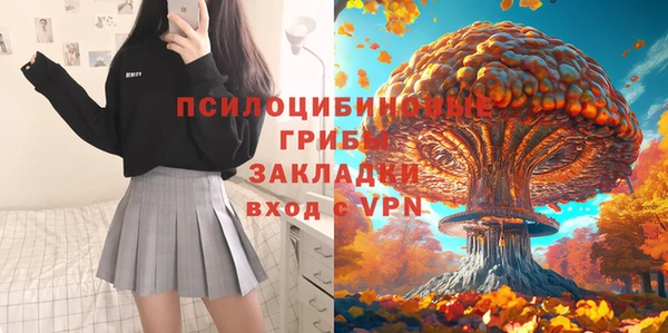 apvp Балахна