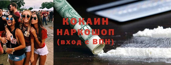 сатива Белокуриха