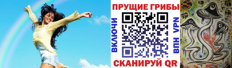 Галлюциногенные грибы MAGIC MUSHROOMS mega ссылки Ветлуга